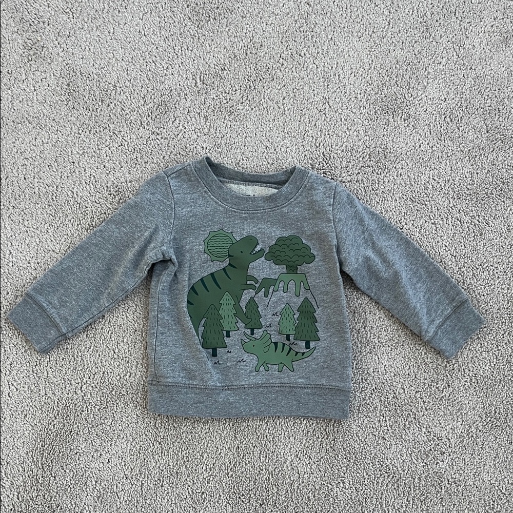🍼Child of Mine Gray Dinosaur Sweatshirt🍼